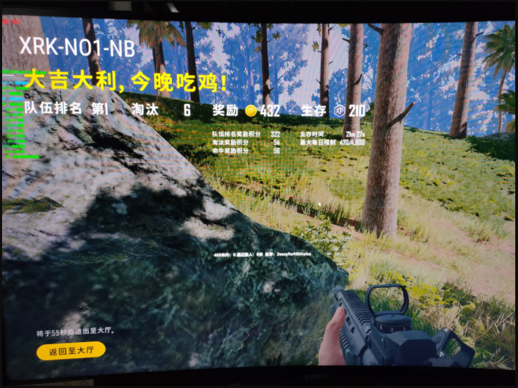 绝地求生向日葵辅助