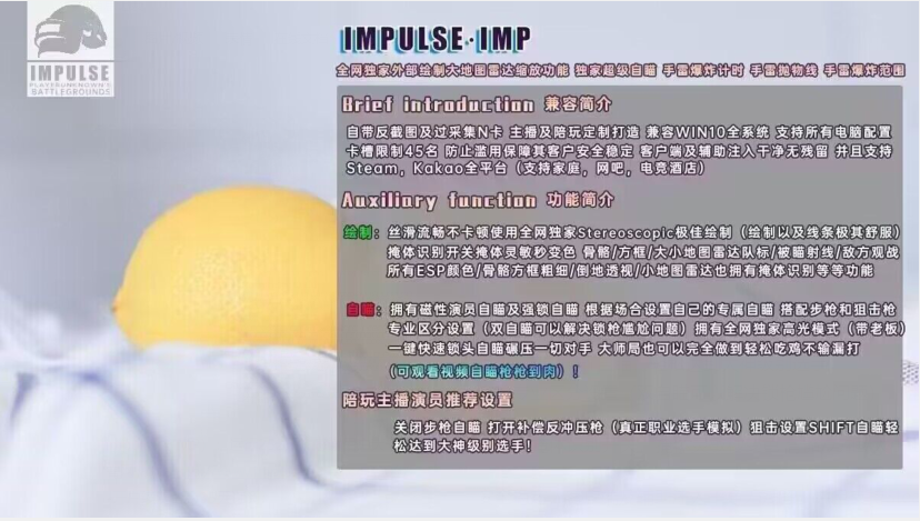 绝地求生IMP辅助