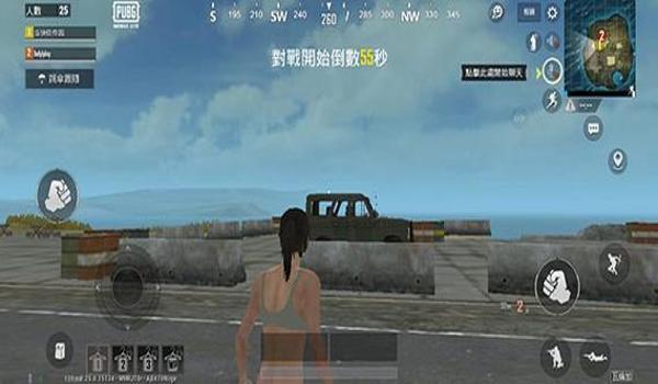 pubglite停止运行怎么办