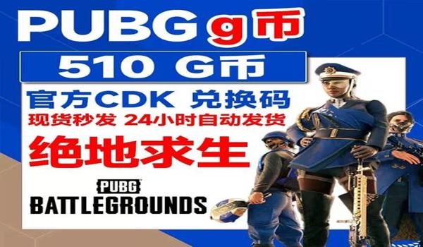 绝地求生充钱后怎么使用（如何在《绝地求生》游戏中查看充值后的余额和使用情况？）