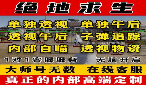 怎么开pubg辅助器