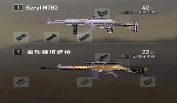 pubg大菠萝是什么（大菠萝的起源与命名由来是什么？）