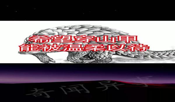 绝地求生穿山甲辅助怎么开