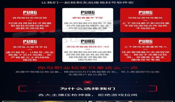 绝地求生吃鸡的辅助叫什么
