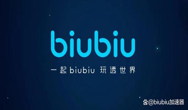 什么加速器能玩PUBG（如何选择适合自己网络环境的pubg加速器？）