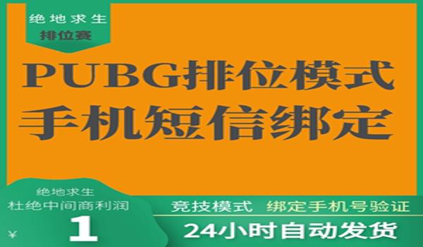 pubg吃鸡辅助卡密怎么用