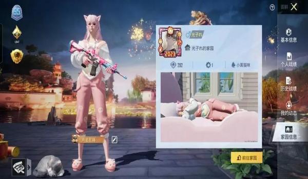绝地求生皇冠辅助有什么用