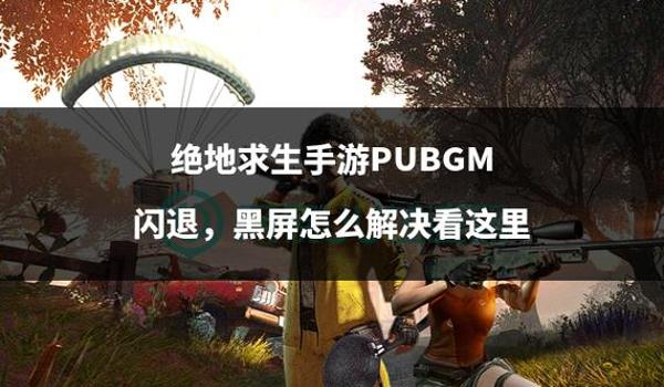 为什么绝地求生辅助闪退了