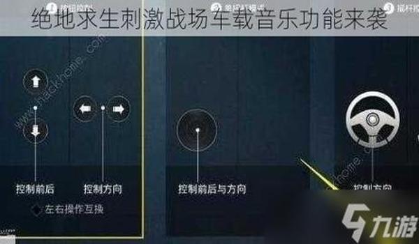 绝地求生自己战场辅助怎么设置