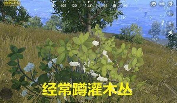 绝地求生可以屏蔽自己的脚步吗