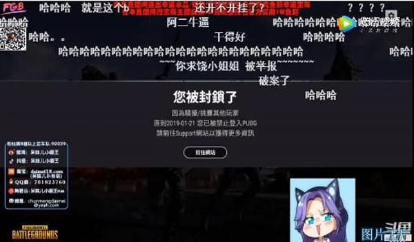 绝地求生开挂电脑会中毒吗