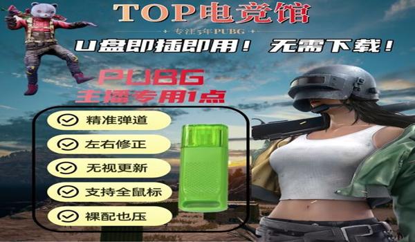 绝地求生辅助可以在u盘里运行么吗