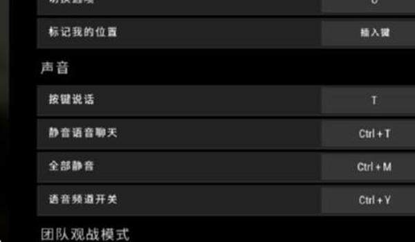 绝地求生辅助语音怎么改