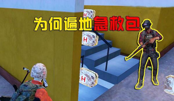 绝地求生仙女内部辅助怎么用