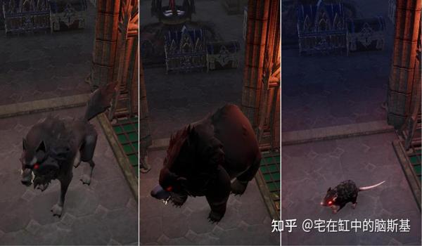 绝地求生绝影辅助能用吗知乎