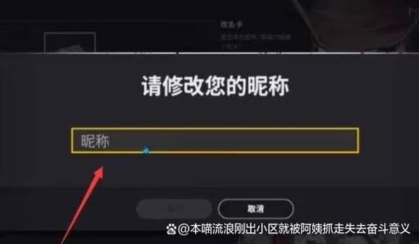 绝地求生如何同外挂对战（在绝地求生中，如何利用团队合作对抗外挂？）