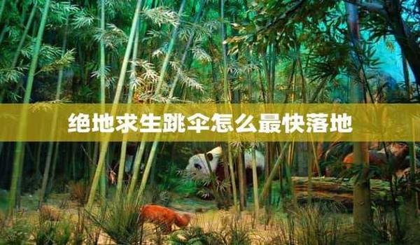 绝地求生怎么破解（绝地求生中有哪些常见的破解方法？）