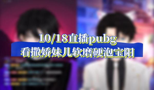 pubg直播画面什么意思