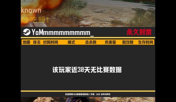 绝地求生装甲车怎么开枪