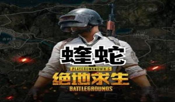 无忧绝地求生辅助怎么用（无忧绝地求生辅助的安装步骤是什么？）