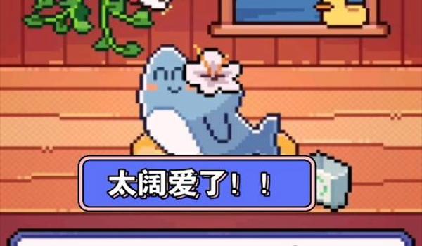 小鲨鱼辅助器怎么下载（小鲨鱼辅助器的功能有哪些？）
