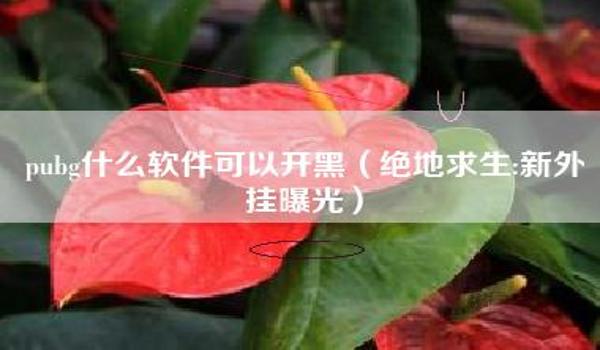 绝地求生雷达是什么原理（绝地求生雷达的基本概念是什么？）