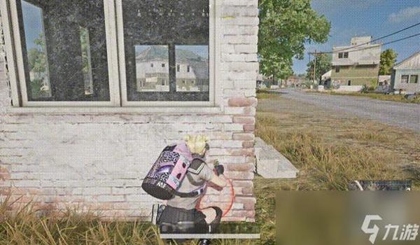 绝地求生宝宝辅助有什么用（绝地求生宝宝辅助的基本功能是什么？）
