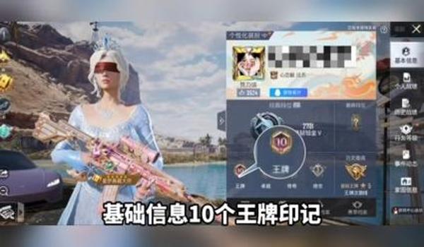 卖绝地求生辅助赚钱吗