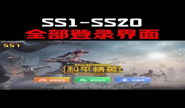 绝地求生s6辅助倍镜有什么功能嘛