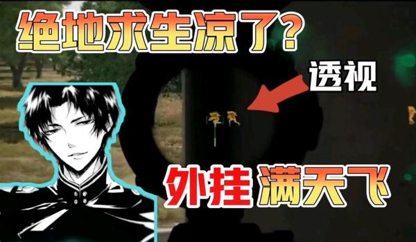 绝地求生透视容易封吗（绝地求生透视外挂的工作原理是什么？）