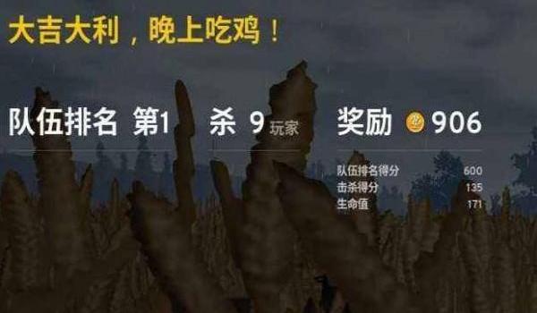 绝地求生石头辅助有什么用