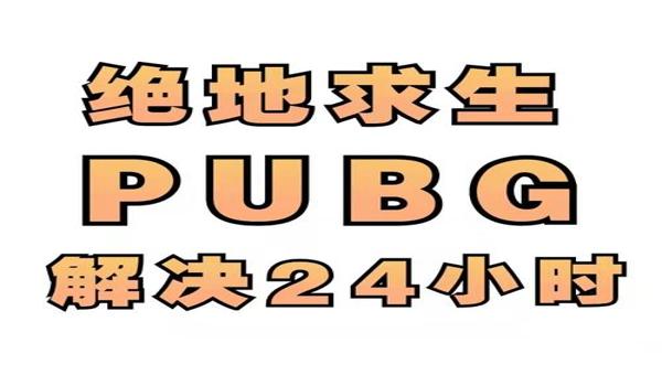 pubg绘制辅助怎么用