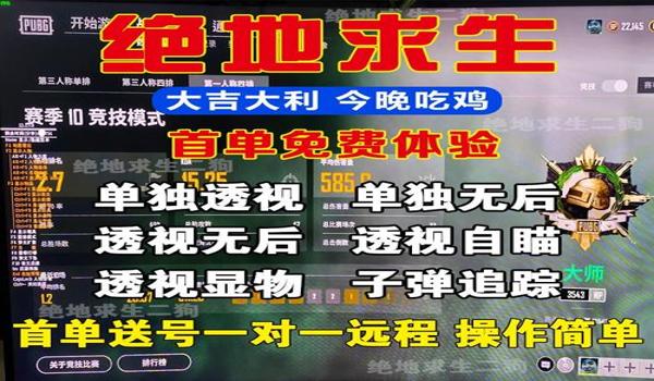 绝地求生外挂是什么样的
