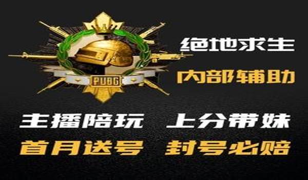 大品牌绝地求生辅助怎么用（大品牌绝地求生辅助的主要功能有哪些？）