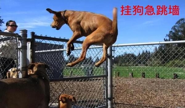 绝地求生如何反杀外挂