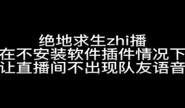 绝地求生怎么语音交流