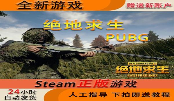 steam绝地求生有辅助瞄准吗手机版