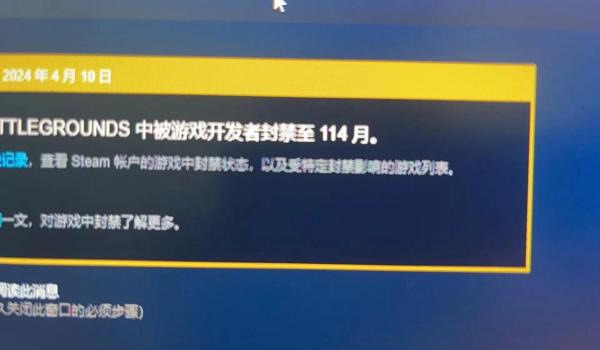 pubg如何查询封禁记录