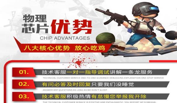 绝地求生皮肤辅助怎么用