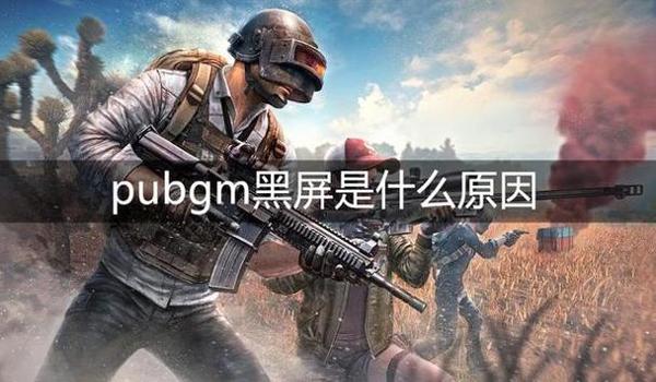 绝地求生辅助黑屏怎么解决
