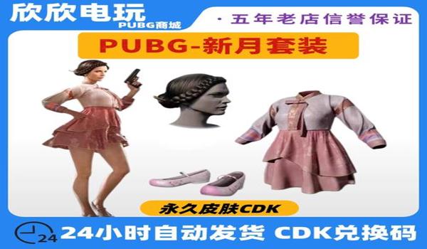 pubg激活码什么意思