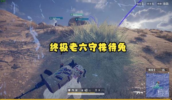 绝地求生兔子辅助叫什么（绝地求生兔子辅助的价格和购买渠道是什么？）