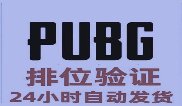 绝地求生怎么辅助验证码登录