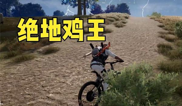 绝地求生鸡王辅助怎么用