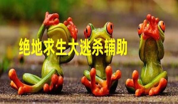 绝地求生hs辅助怎么开（绝地求生hs辅助的购买渠道有哪些推荐？）