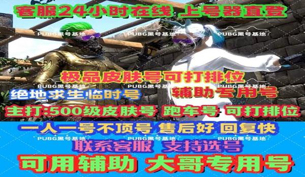 绝地求生加速辅助怎么用