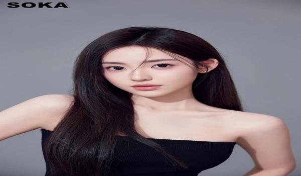 橘子辅助脚本好吗
