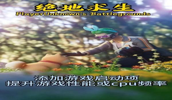 绝地求生辅助源代码是什么（绝地求生辅助源代码的基本概念是什么？）