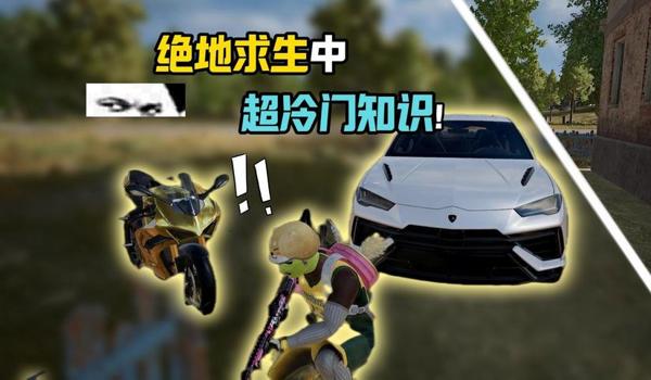 怎么知道pubg是什么服