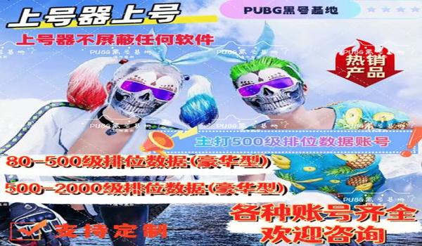 绝地求生云龙辅助怎么开（绝地求生云龙辅助的使用方法是什么？）